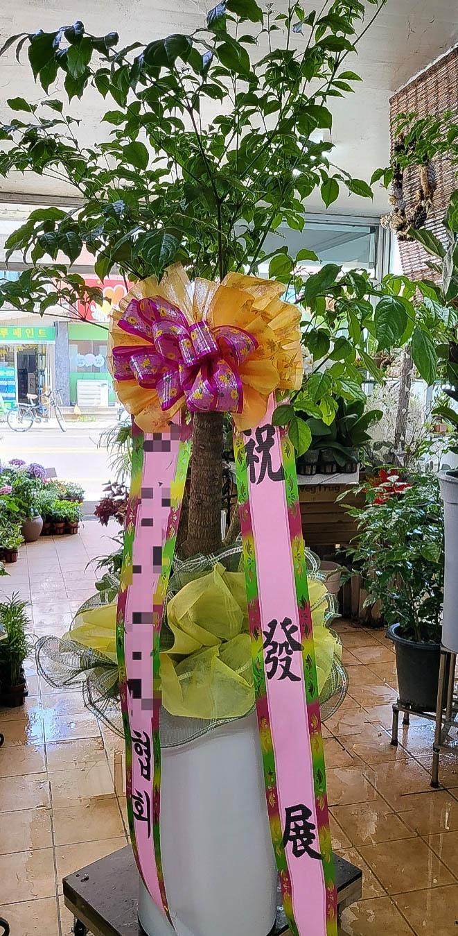 늘푸른화원 이미지