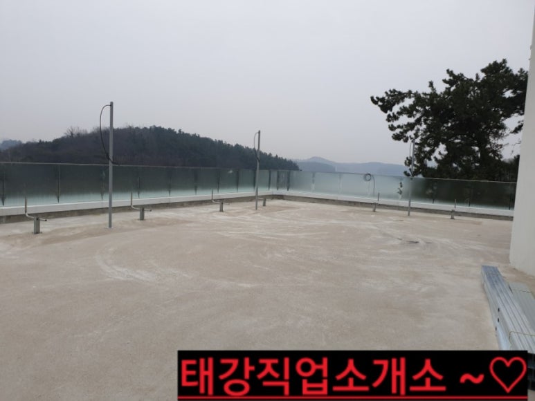 칼라직업소개소 이미지