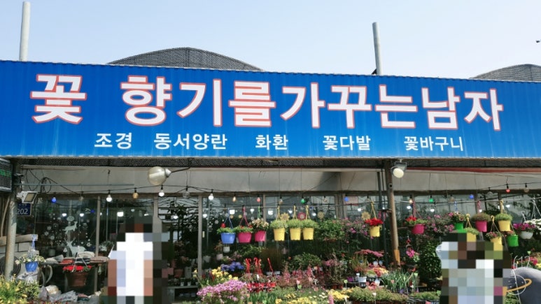 꽃향기를가꾸는남자 이미지