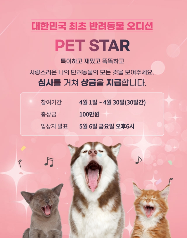 탑엔터테인먼트 이미지