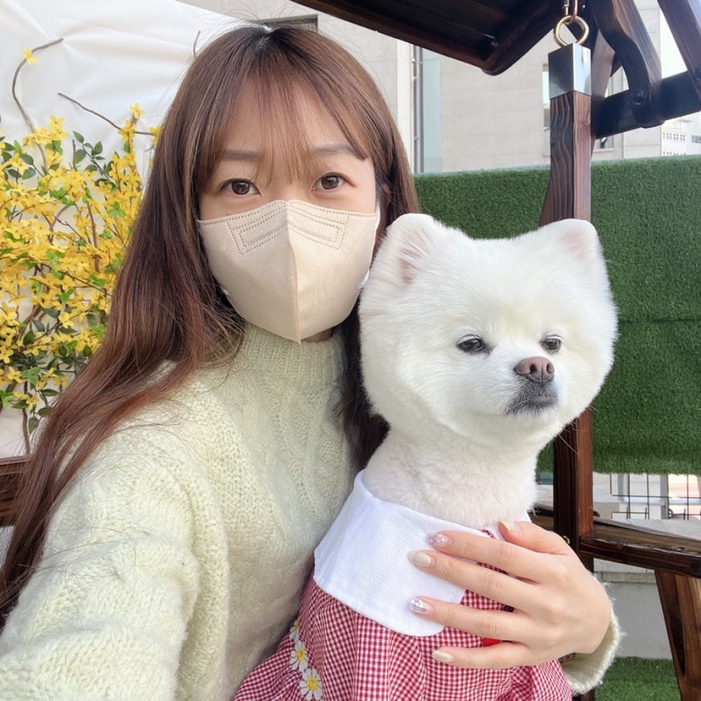 또오개 이미지