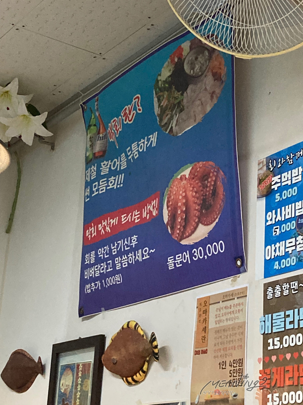 대진항막회 이미지