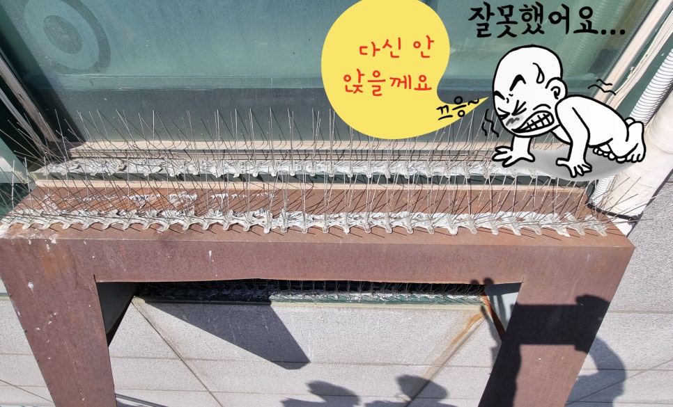 주화클린 이미지