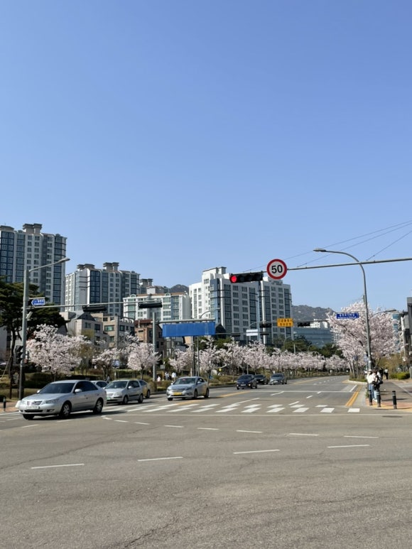 (주)더라이프 이미지