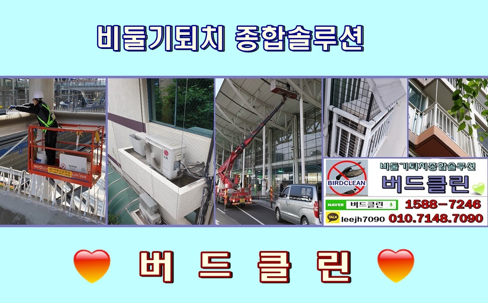 주화클린 이미지