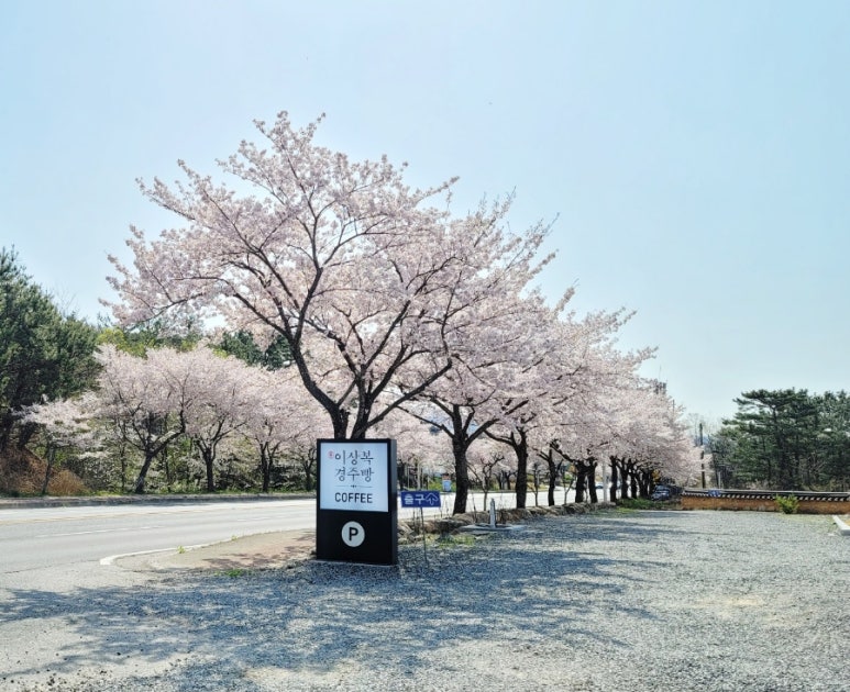 이상복 경주빵(보불로점) 이미지