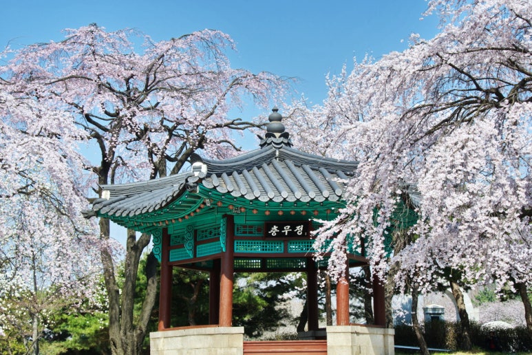 충무정 이미지