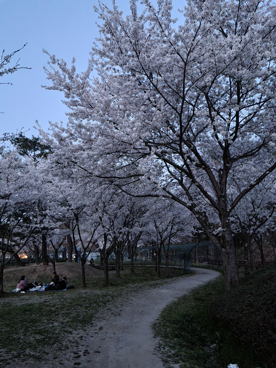 금강신세 이미지