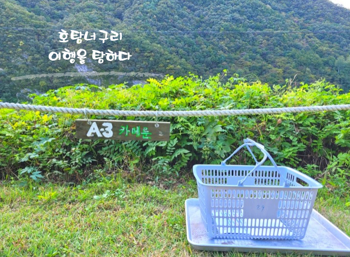 영월아프리카미술박물관&에이미캠핑장 이미지