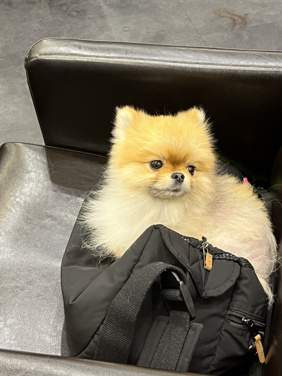 윤다영미용실 이미지
