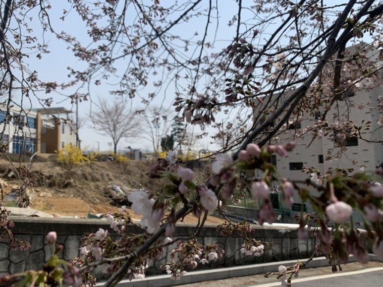 창말어린이집 이미지