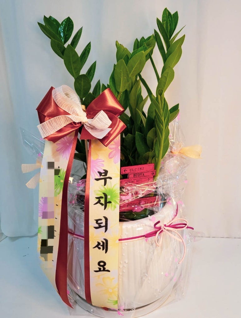 늘푸른화원 이미지