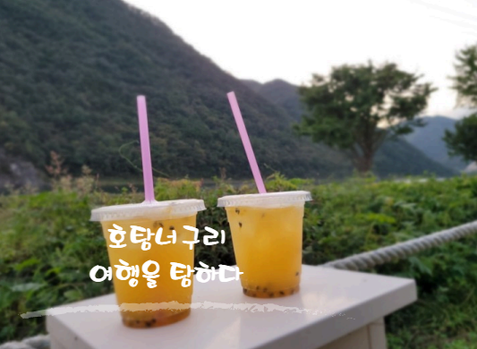 영월아프리카미술박물관&에이미캠핑장 이미지