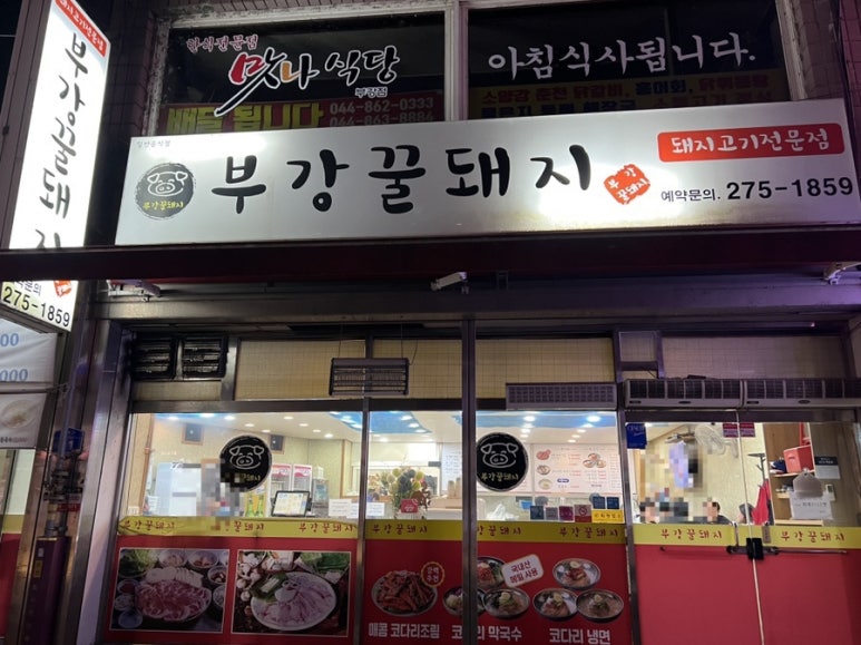 부강 꿀돼지 이미지