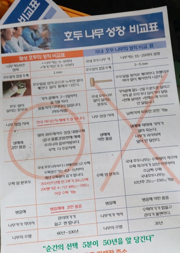호두나무슈퍼 이미지