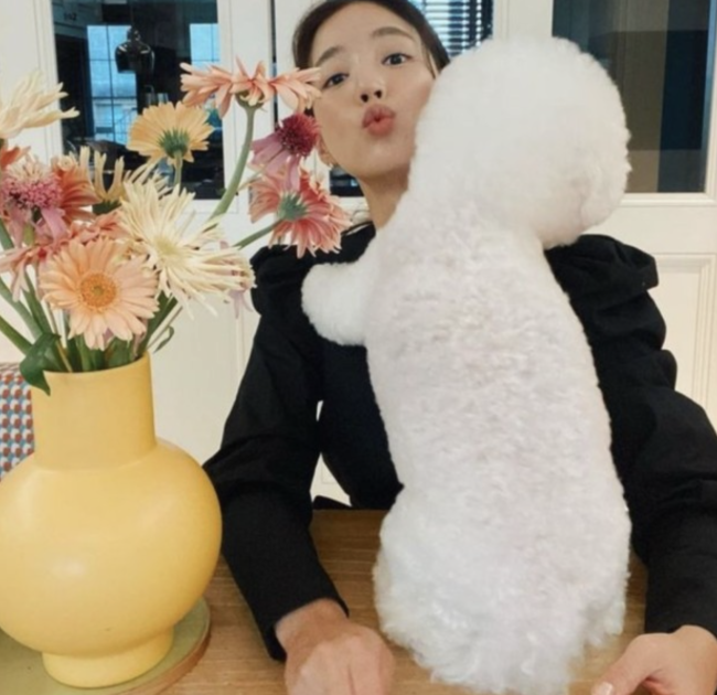 디자인라위 이미지