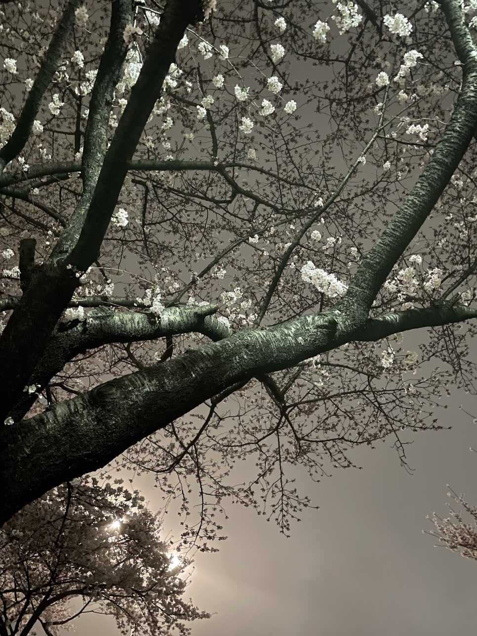 장림삼거리 이미지