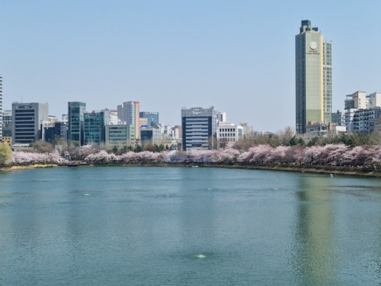 고봉민김밥인잠실 이미지