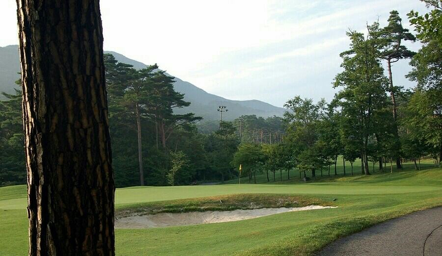 (주)동인여행사 이미지
