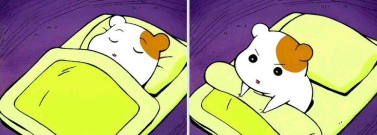 미친부엌 이미지