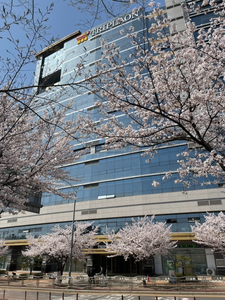 일산구내식당 이미지