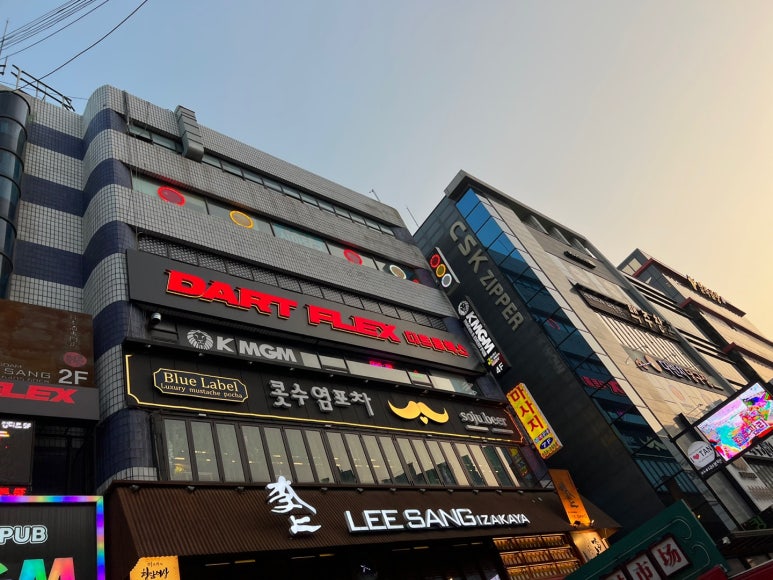 다트플렉스 이미지