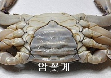 섬수산 이미지