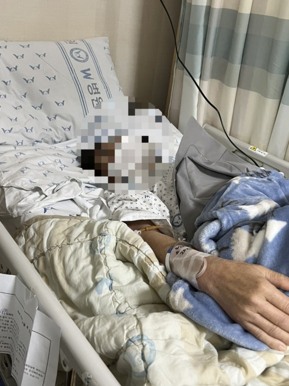 제일간병인협회 이미지