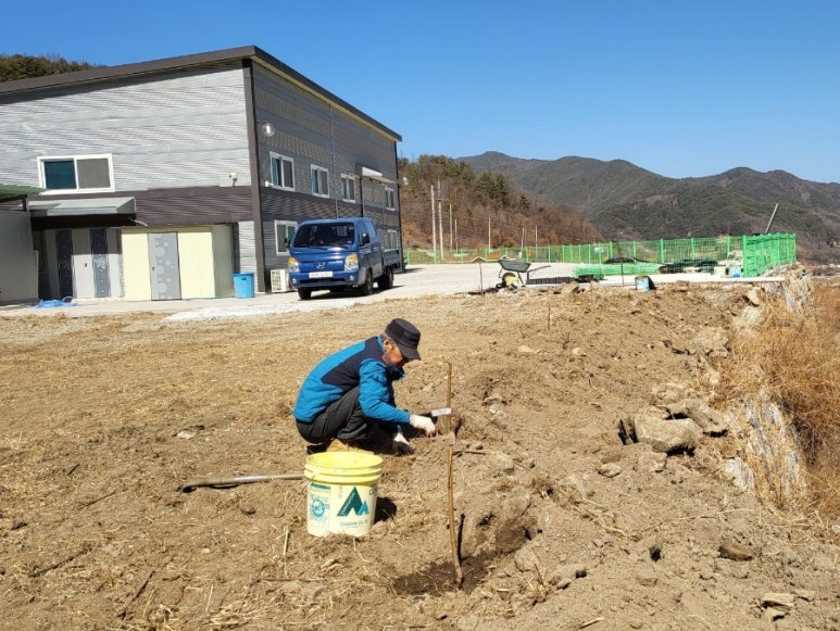 황매산애푸드 이미지