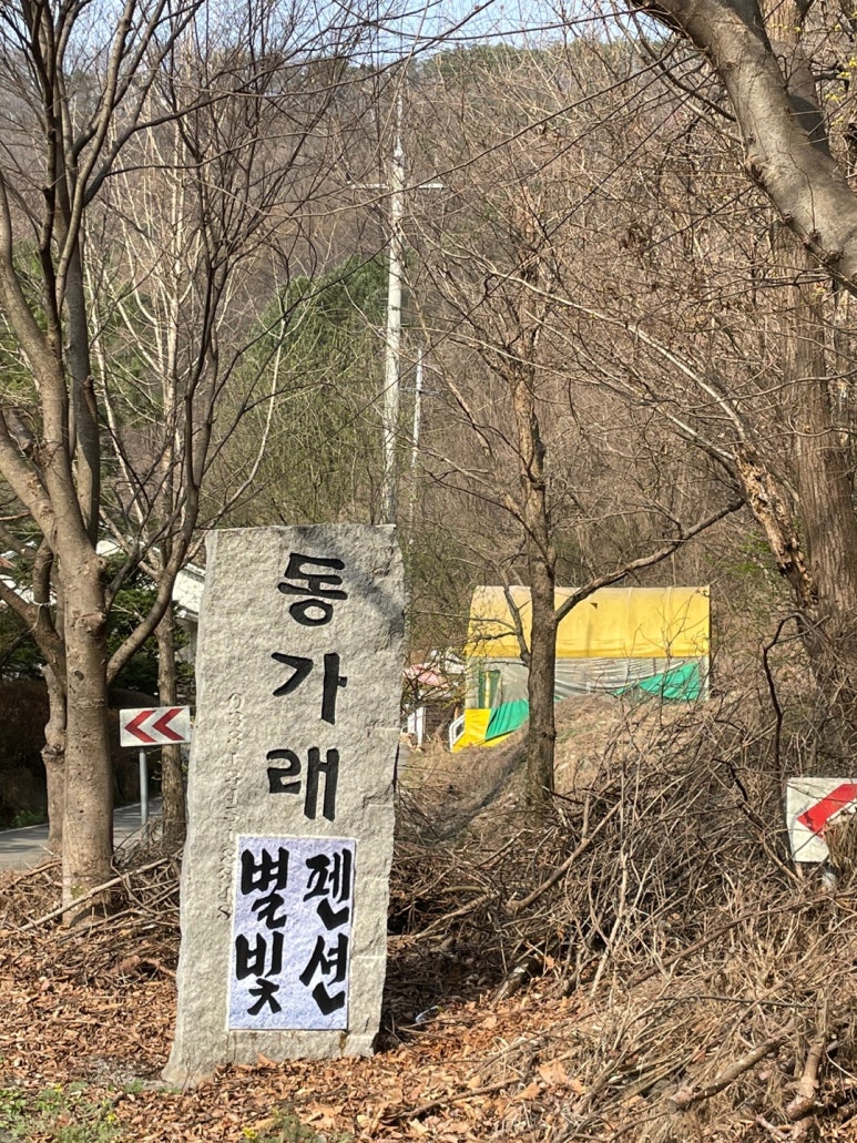 동가래별빛 이미지