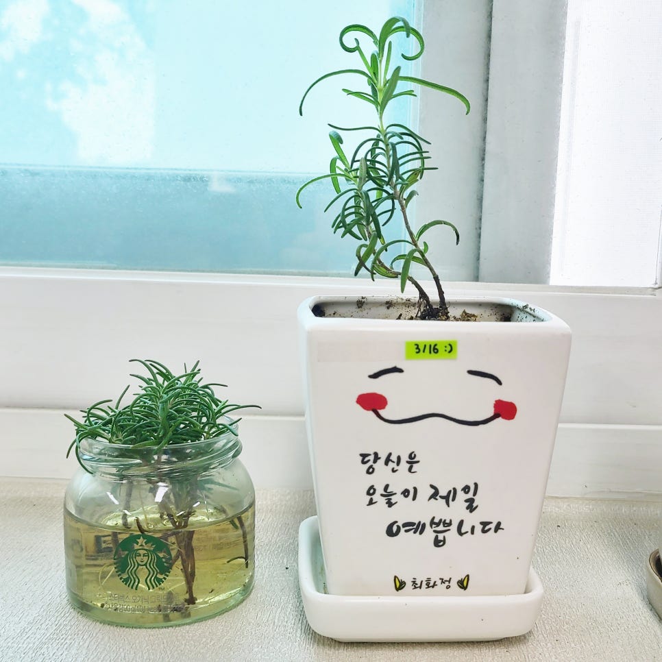 로즈마리상사 이미지