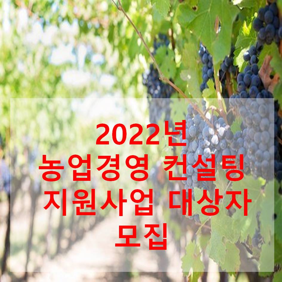 경영컨설팅 이미지