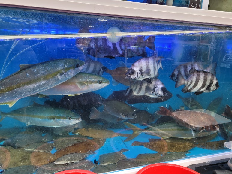 올레강민 이미지