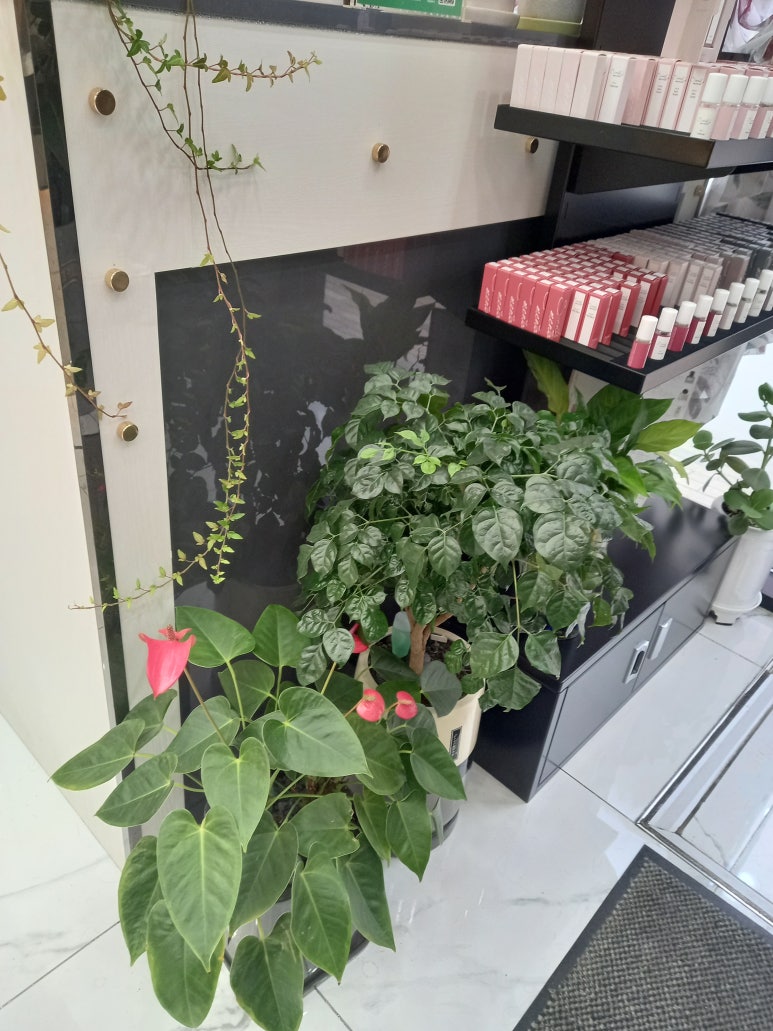 살롱드헤어 이미지
