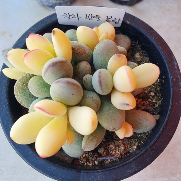 정화뜨개방 이미지