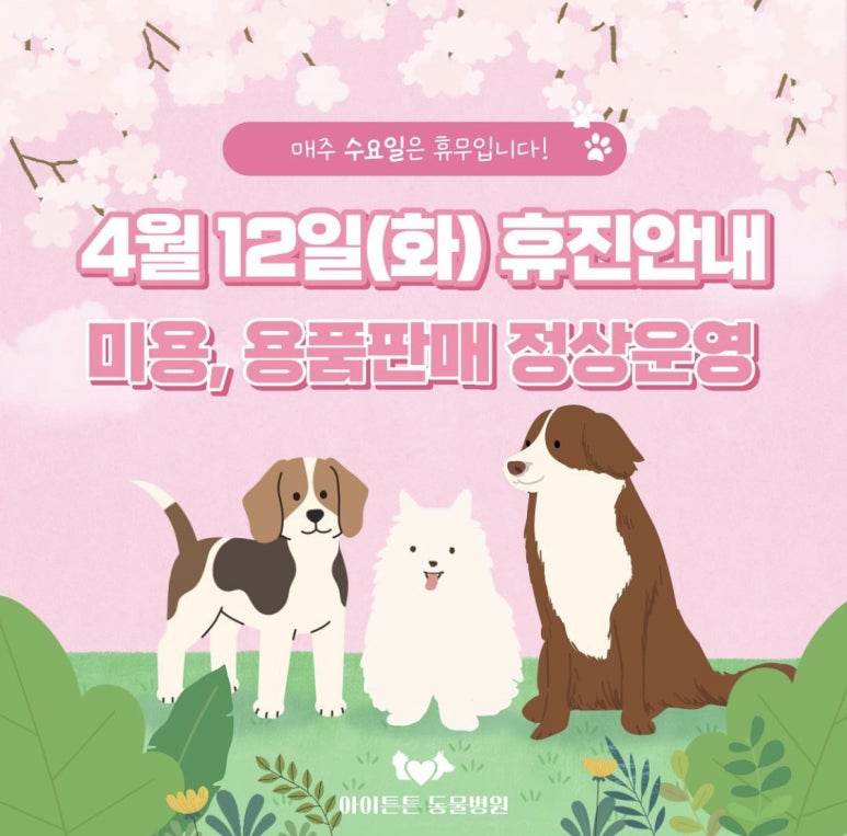 아이튼튼병원 이미지