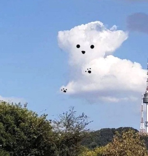 이듬해봄 이미지