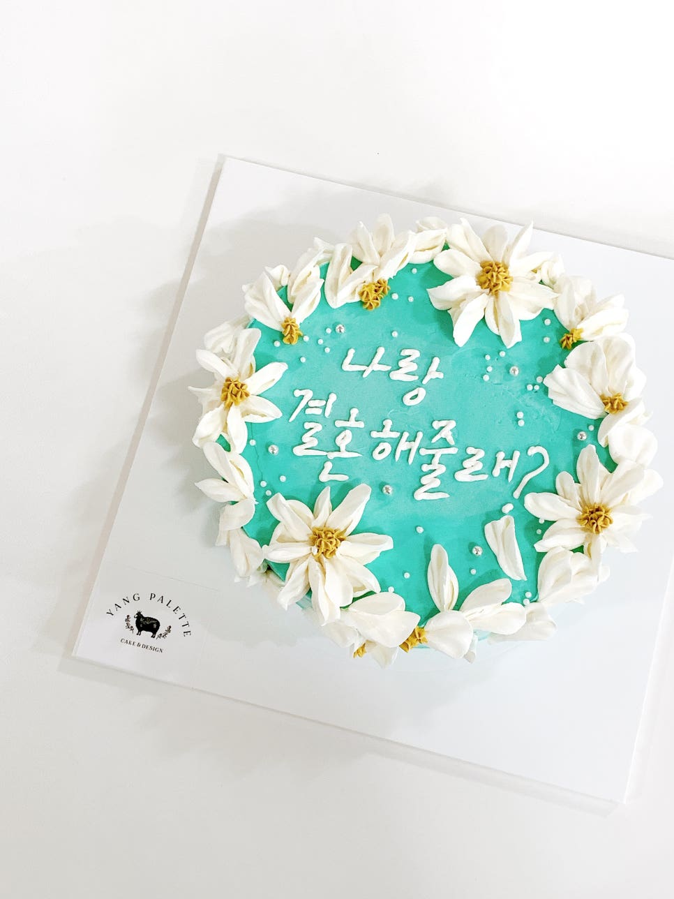 양팔레트 이미지