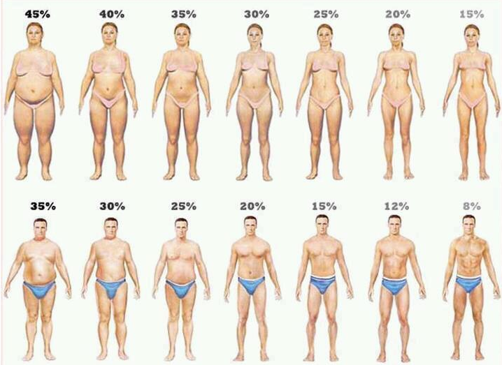 레벨업휘트니스고색점 이미지