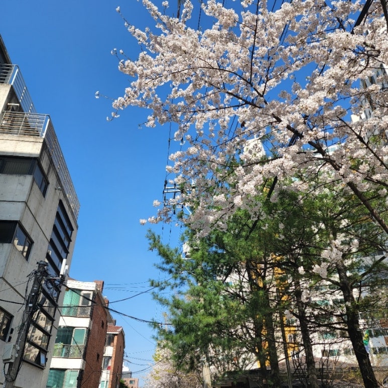 (주)대정유통 이미지