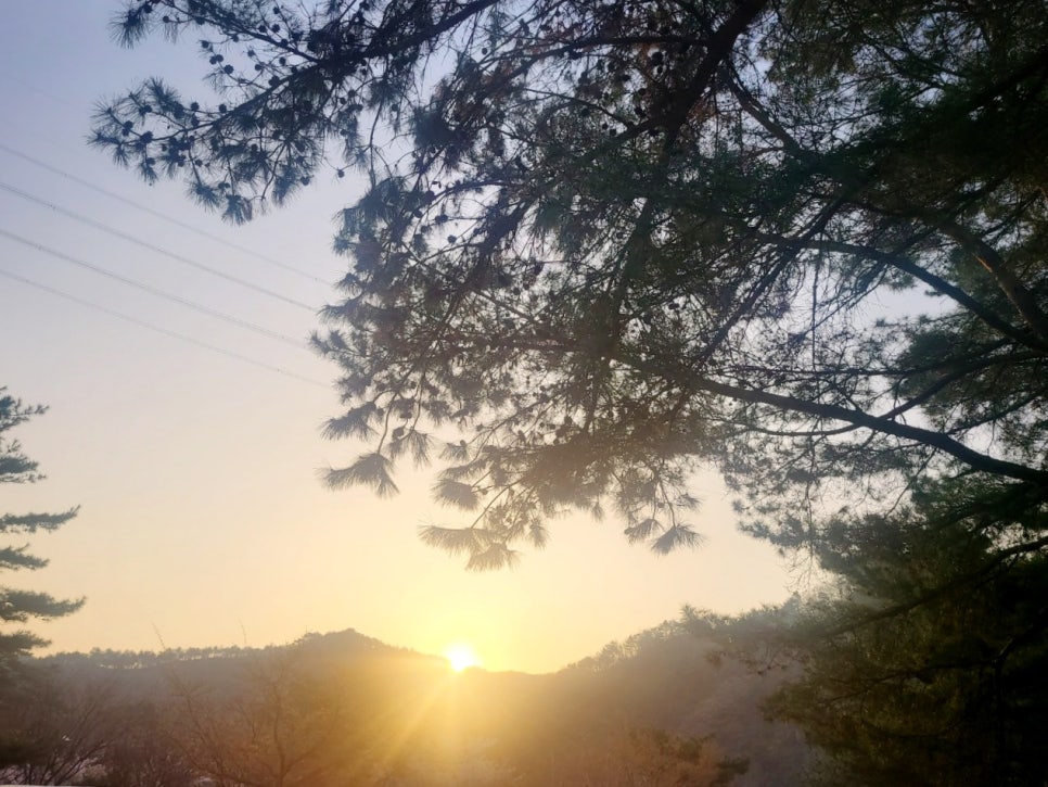 삼척엘림캠핑장 이미지
