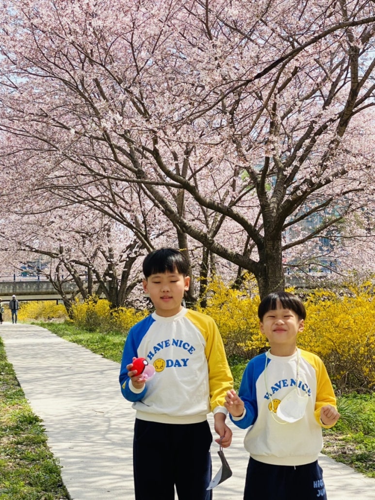 백소정당진 이미지