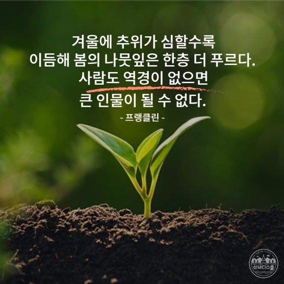 큰산바다 이미지