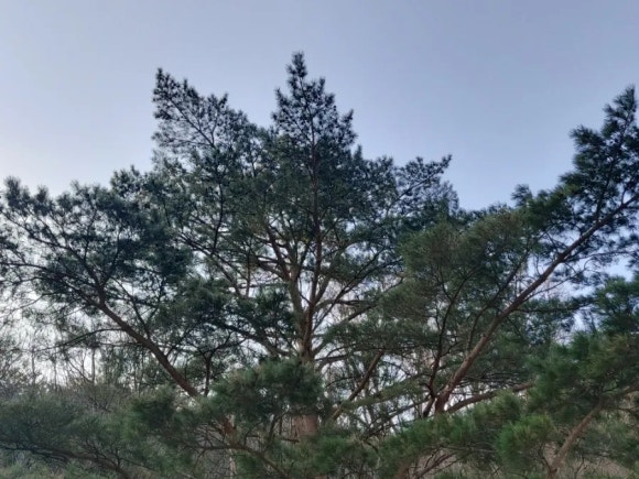 곰배령팜스테이 이미지