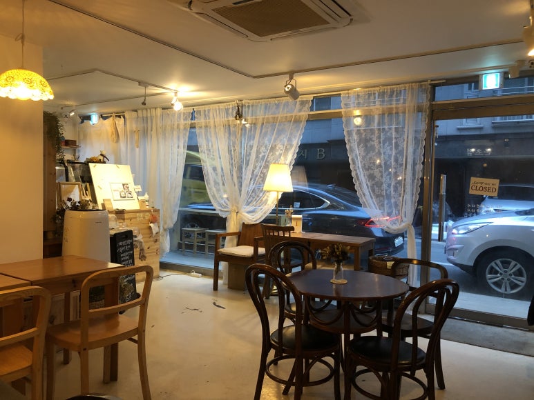 온초점 이미지