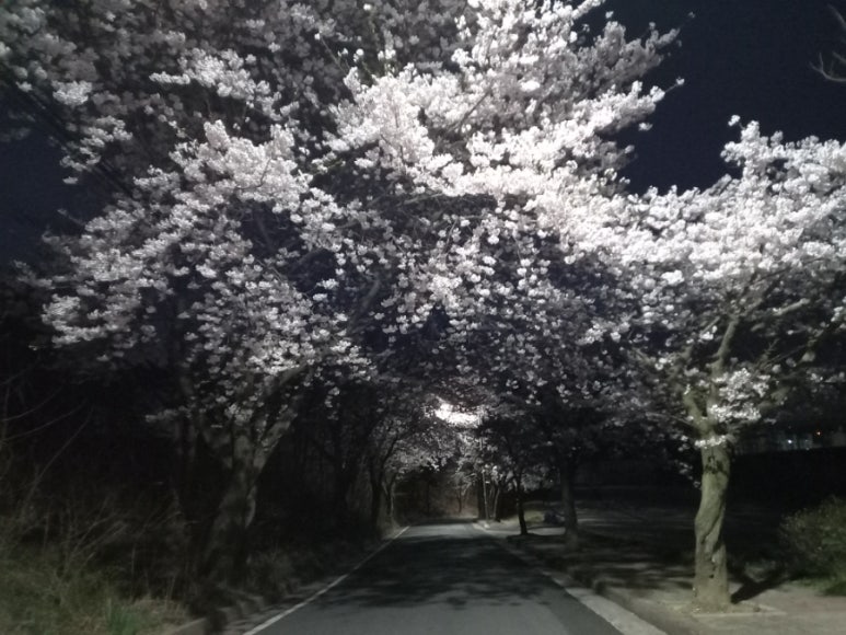 봄날오후 이미지