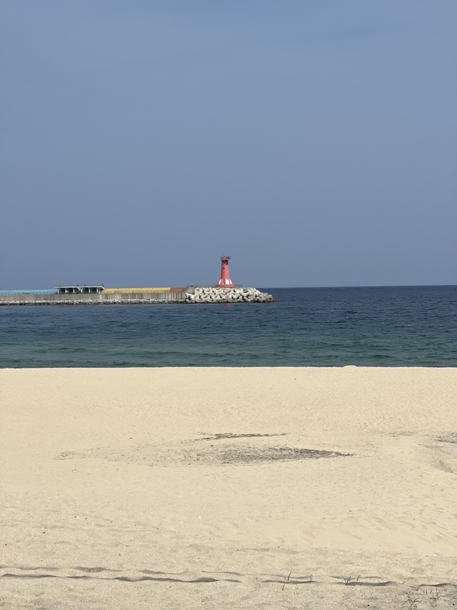 망고서프 이미지