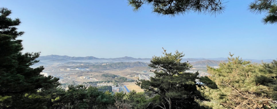 병천초등학교 이미지