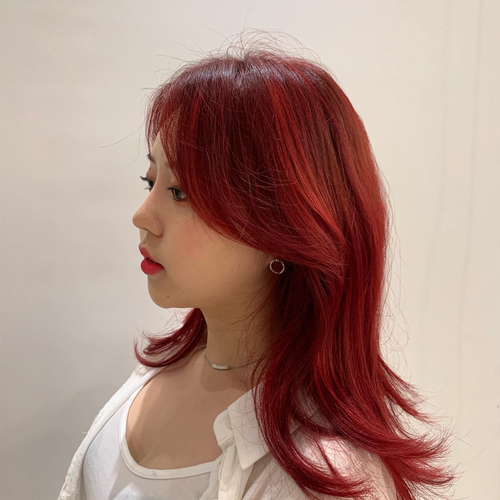 펠리아 광복점 이미지