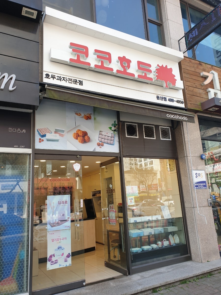 코코호도 둔산점 이미지